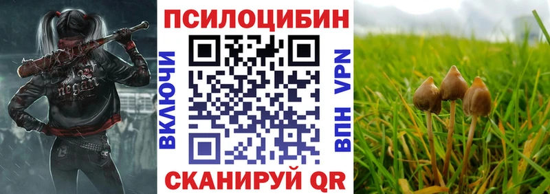 мега зеркало  Семёнов  дарк нет наркотические препараты  закладки  Псилоцибиновые грибы Magic Shrooms 